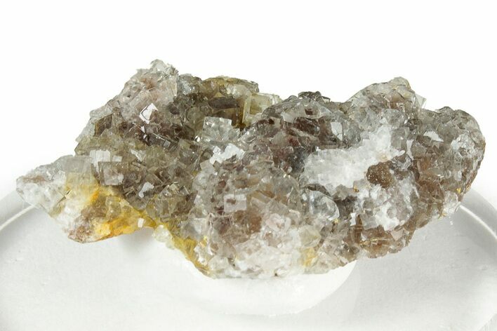 Gemmy Purple Fluorite Cluster - Spain #327160